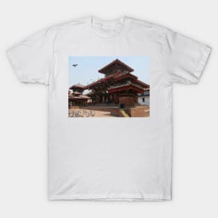 Kathmandu Temple Pigeons T-Shirt